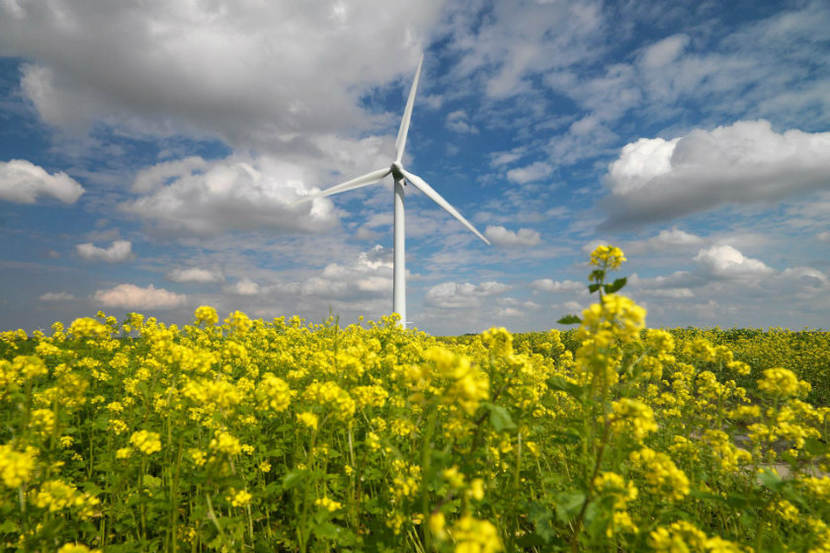 windmolen op land